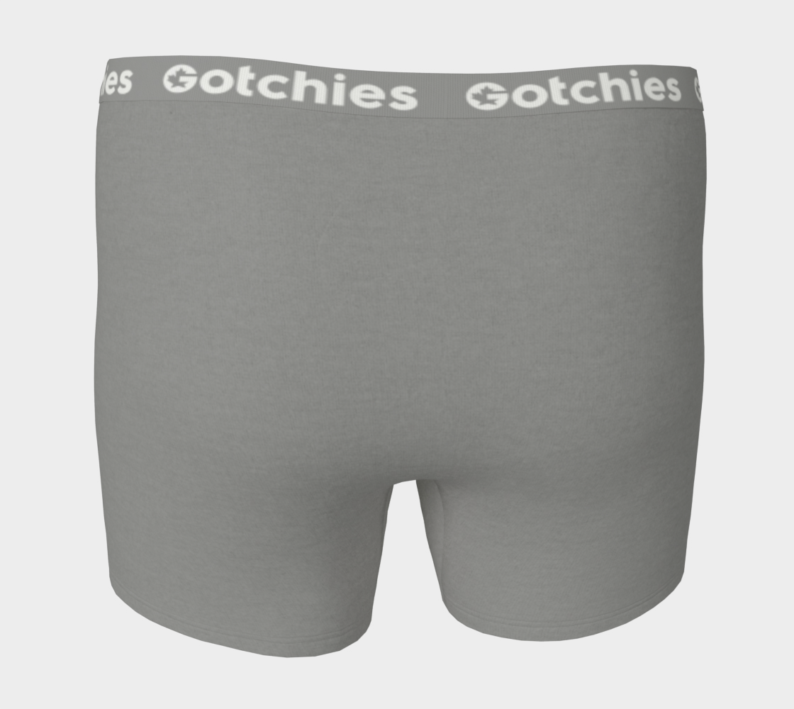 Gotchies Colourways 'Grey' Boxer Briefs (M)